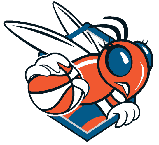 Charlotte Sting 2004-2006 Alternate Logo iron on transfers for T-shirts